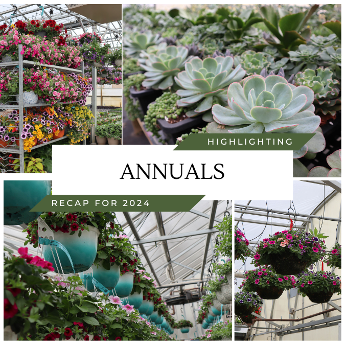 Annuals Highlights